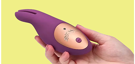 sex toy in hand