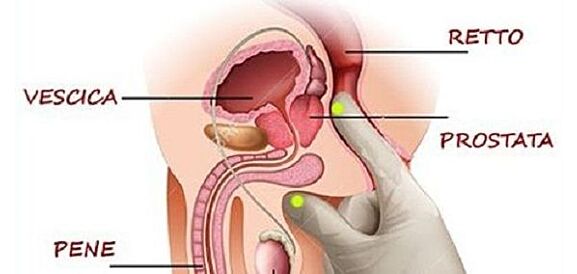 punto p stimolazione