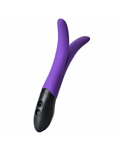 Double Hears Vibrator