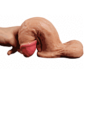 Super Soft Realistic Dildo